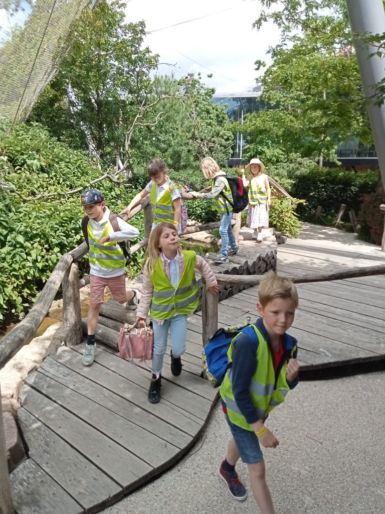 2C Uitstap Zoo