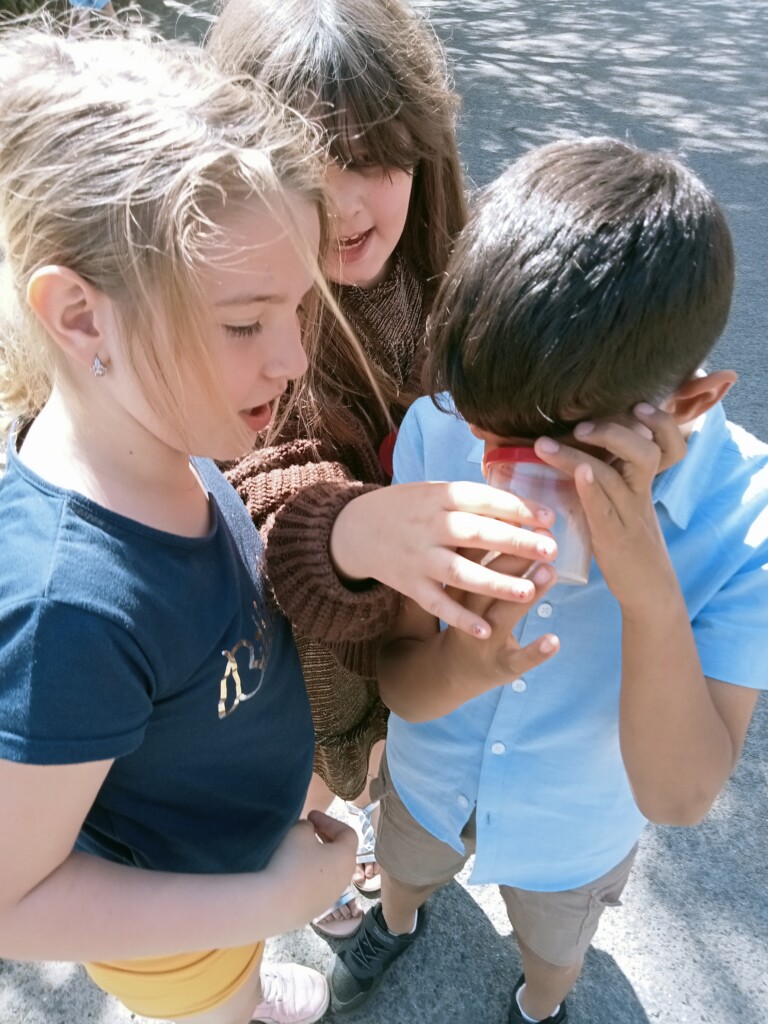 2C Kriebelbeestjes zoeken
