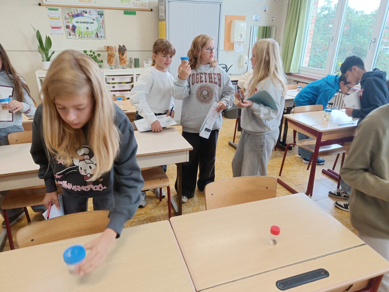 6B Zeediertjes